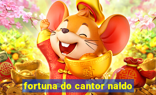 fortuna do cantor naldo